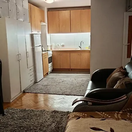 Wielunska Apartment *