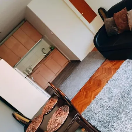Apartment Wielunska *